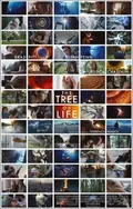 The Tree of Life poster