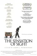 The Sensation of Sight poster