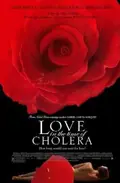 Love in the Time of Cholera poster