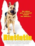 Finding Rin Tin Tin poster