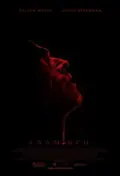 Anamorph poster