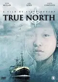 True North poster