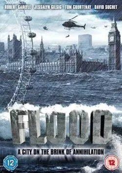 Flood poster