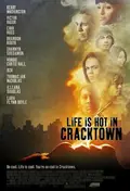 Life Is Hot in Cracktown poster