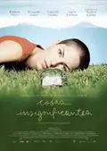 Insignificant Things poster