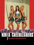 Ninja Cheerleaders poster