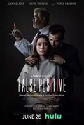False Positive poster