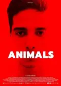 Animals poster