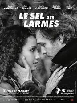 The Salt of Tears poster