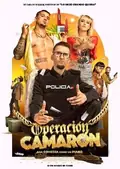 Undercover Wedding Crashers poster
