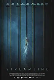 Streamline poster