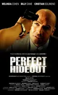 Perfect Hideout poster