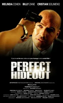 Perfect Hideout poster