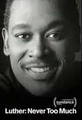 Luther: Never Too Much poster