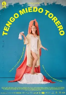 My Tender Matador poster
