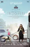 Netrikann poster