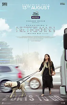 Netrikann poster