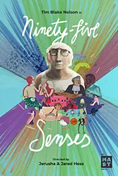 Ninety-Five Senses poster