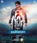 Dikkiloona poster