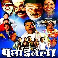 Pachhadlela poster