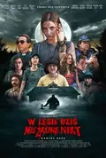 Nobody Sleeps in the Woods Tonight poster