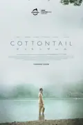 Cottontail poster