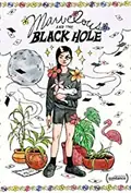 Marvelous and the Black Hole poster
