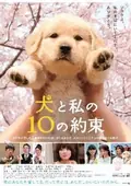 10 Promises to My Dog poster