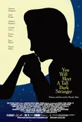 You Will Meet a Tall Dark Stranger poster