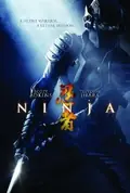 Ninja poster