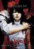 Voices poster