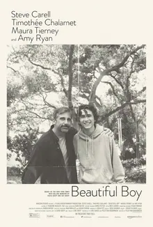 Beautiful Boy poster