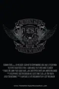 The Perfect Age of Rock 'n' Roll poster