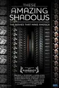 These Amazing Shadows poster