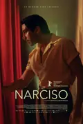 Narciso poster