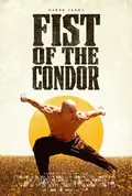 Fist of the Condor poster