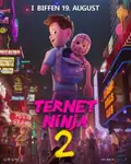 Checkered Ninja 2 poster