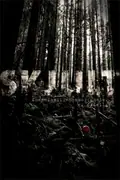 Hidden poster