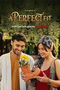 A Perfect Fit poster