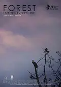 Forest: I See You Everywhere poster