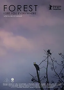 Forest: I See You Everywhere poster