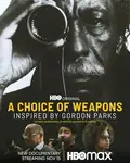 A Choice of Weapons: Inspired by Gordon Parks poster