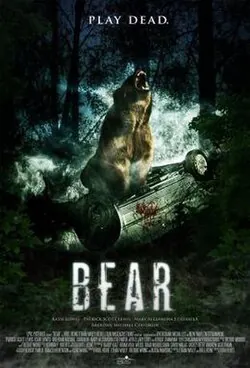 Bear poster