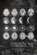 Something in the Dirt poster