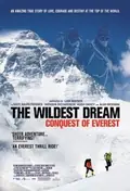 The Wildest Dream poster