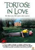 Tortoise in Love poster