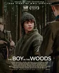 The Boy in the Woods poster