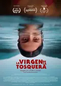 The Virgin of the Quarry Lake poster