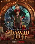 David and the Elves poster