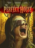 The Perfect House poster
